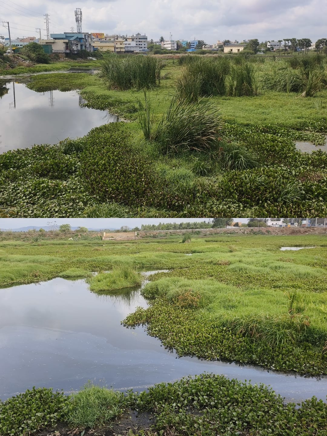 దొంతికుంట చెరువు సర్వే ఆలస్యం